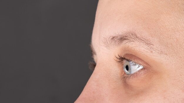 Eyebrow Transplants